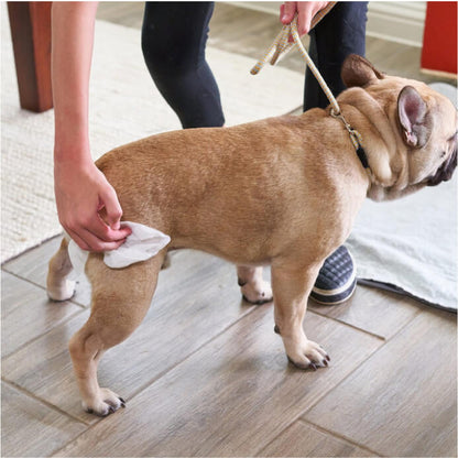 Gland Pet WiPees™