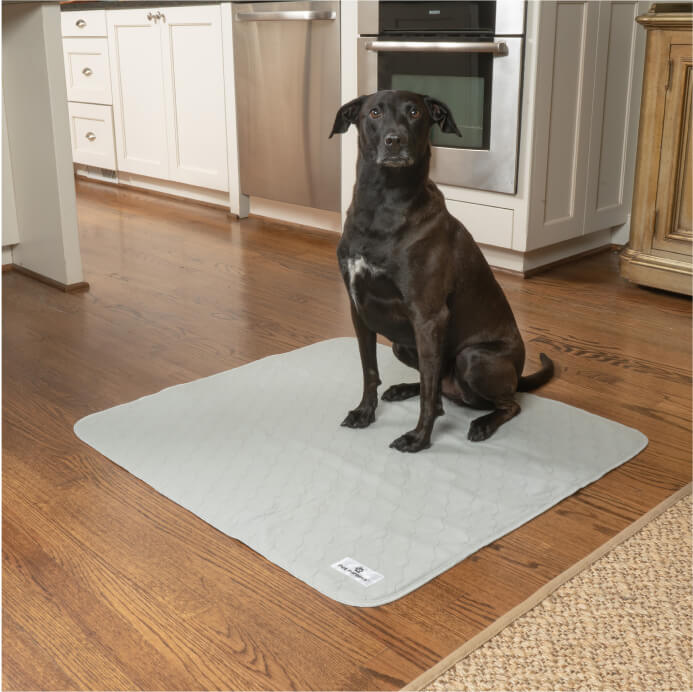 Pawtect® Pads (2pack)