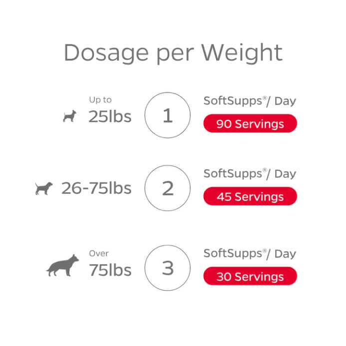 Skin & Coat SoftSupps®