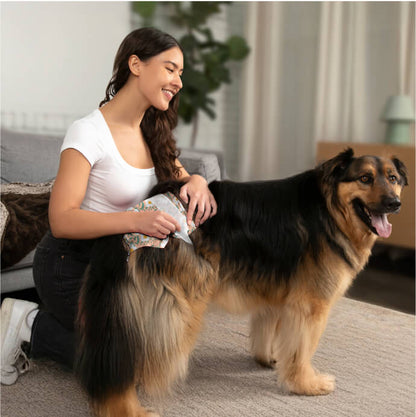 DiPees™ + Odor Control Disposable Dog Diapers