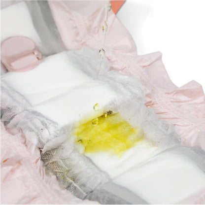 DiPees™ + Odor Control Disposable Dog Diapers