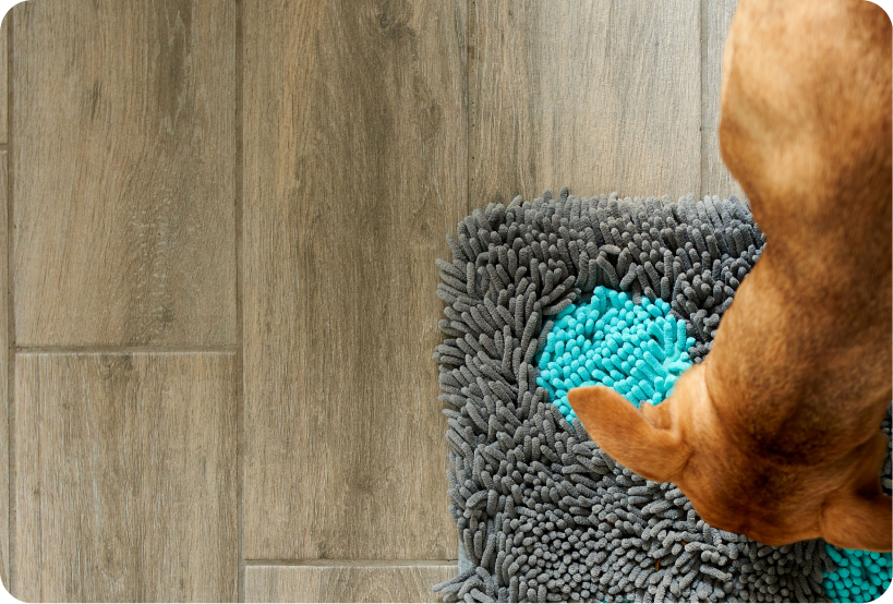 Can You Use Baby Wipes on Dogs?