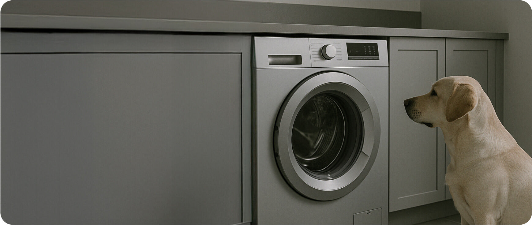 Is Human Laundry Detergent Safe for Pets?