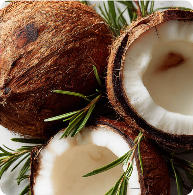ingredient hero