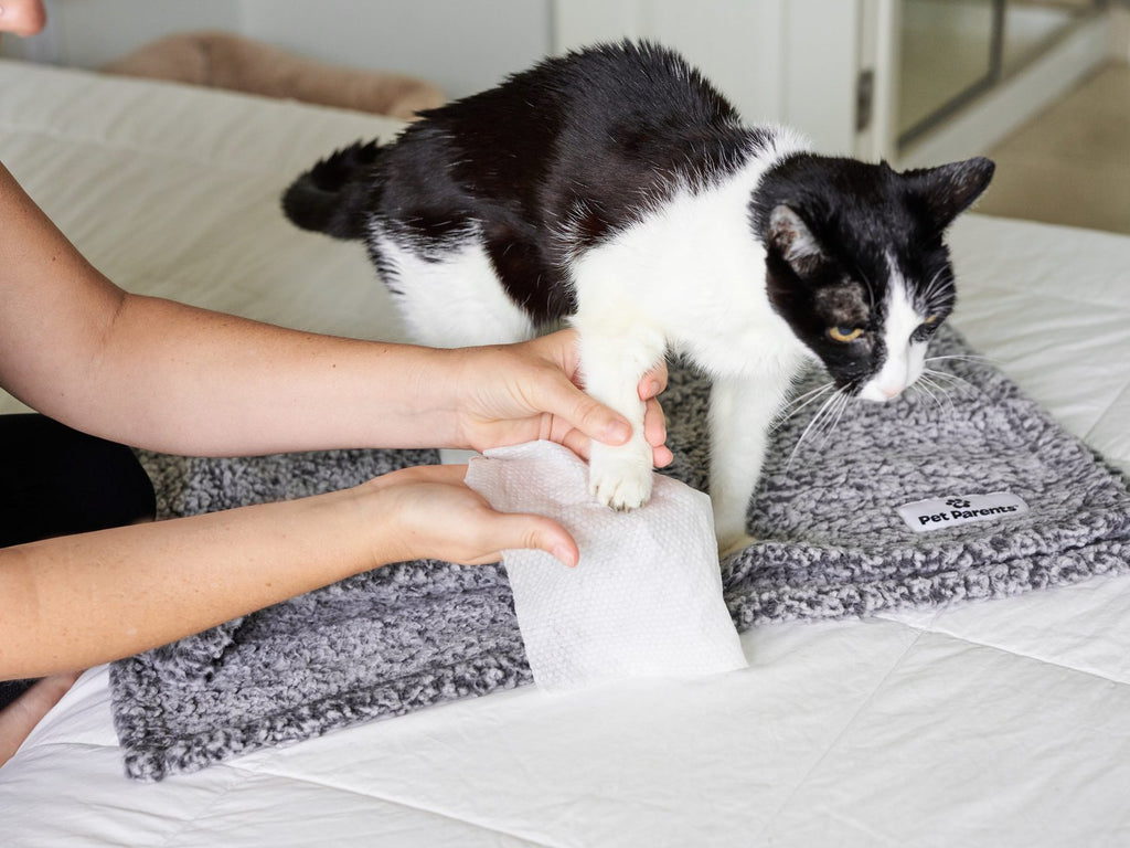 Pet WiPees™ Cat Wipes All Purpose Cat Grooming Wipes Cat Bathing Wipes