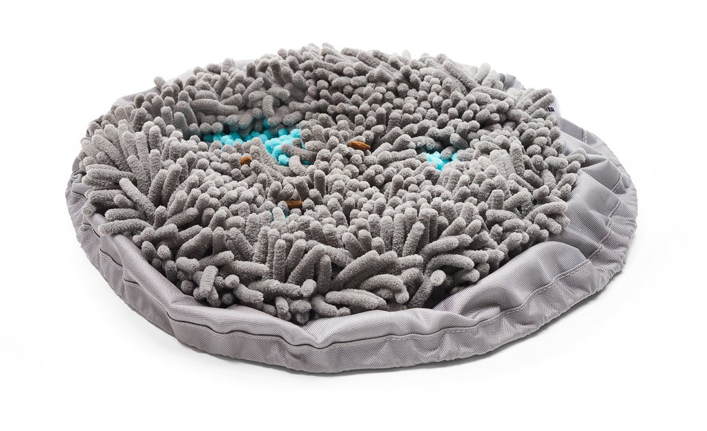 Forager® Bowl Slow Feeder Dog Bowl Snuffle Mat for Dogs