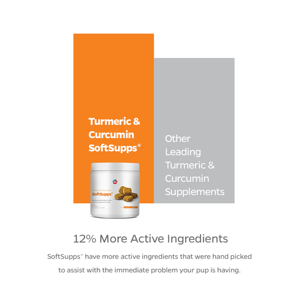 Turmeric & Curcumin SoftSupps® Turmeric For Dogs Arthritis Dog