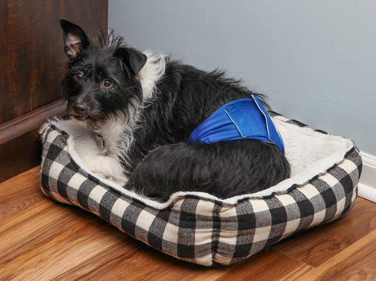 Pet Dog Belly Wrap Velcro Band Extender Extention 