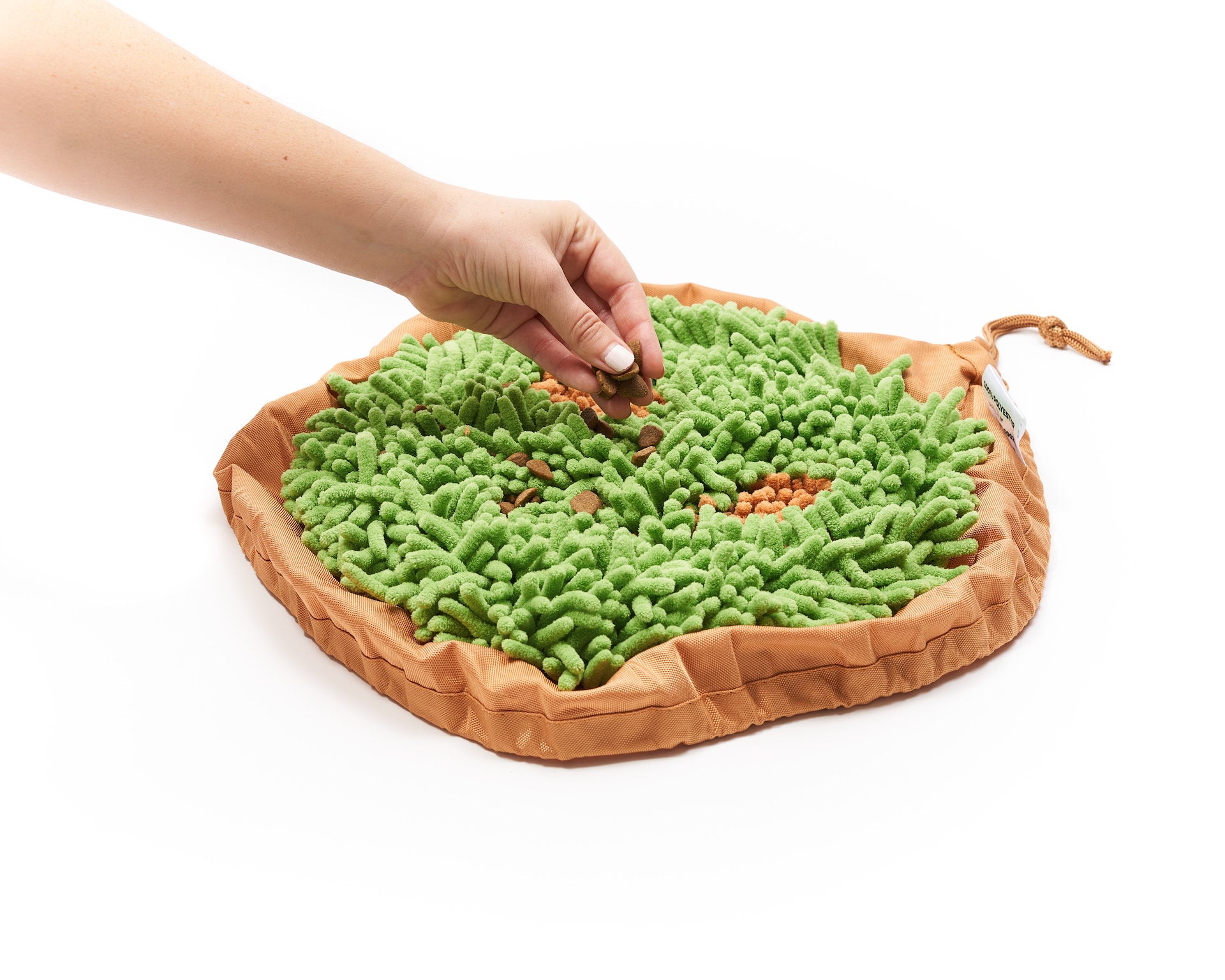 PET PARENTS Forager Snuffle Mat & Slow Feeder Dog Bowl, Meadow Ponds 