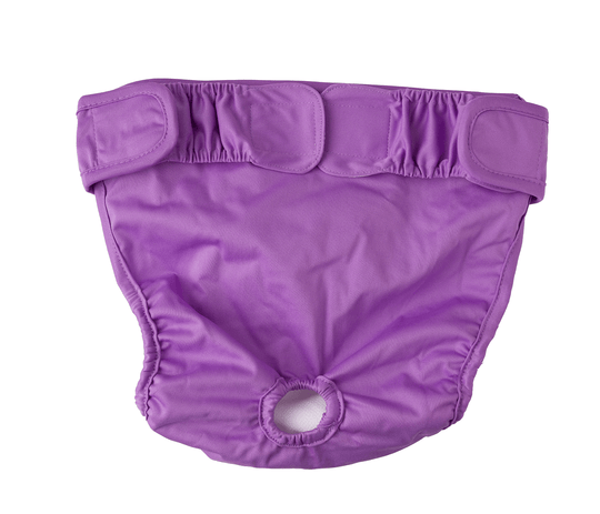 Protective Underwear Large Size Adult Diapers at Rs 21/piece in