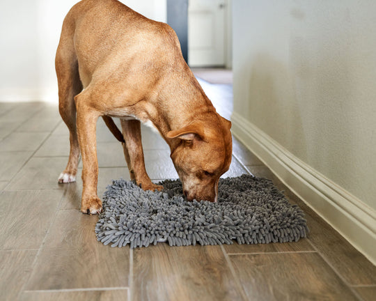 Snuffle Mat - A Dog Trainer's Review
