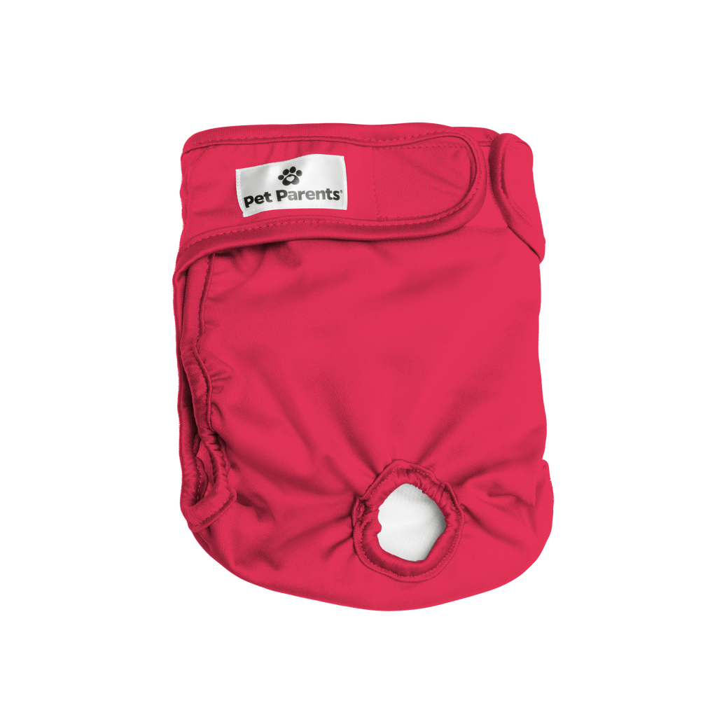 Premium Washable Cat Diapers (3Pack) Kitten Diapers Pet Parents®